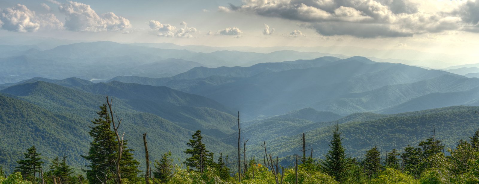 blossom_designs_handmade