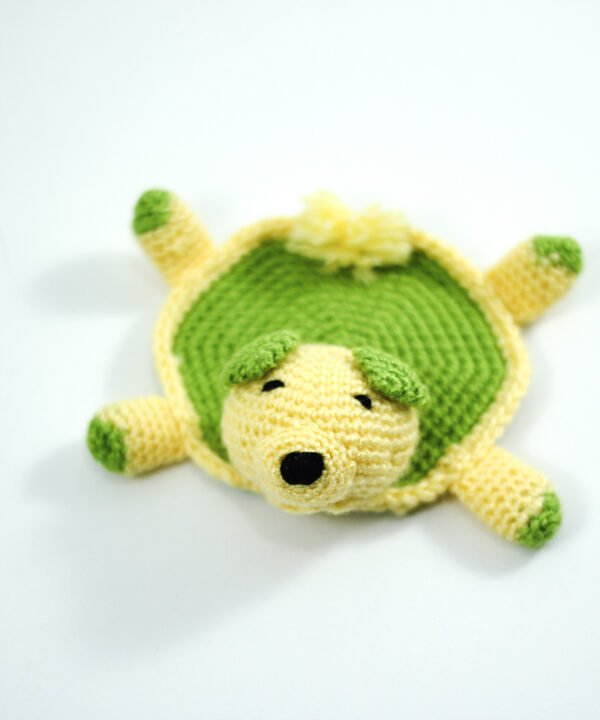 كوستر ، سلحفاة