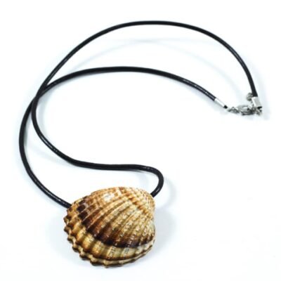Necklace Sea Shell