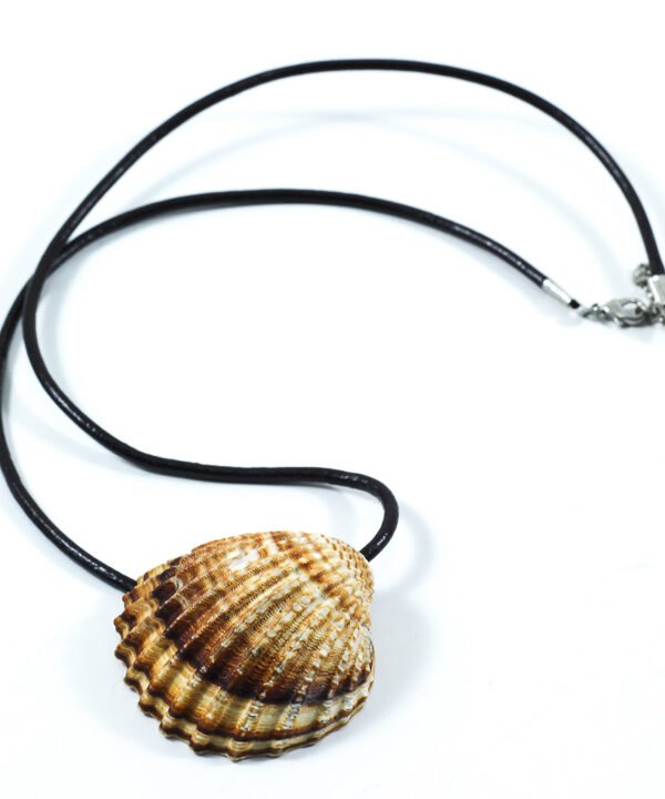 Necklace Sea Shell