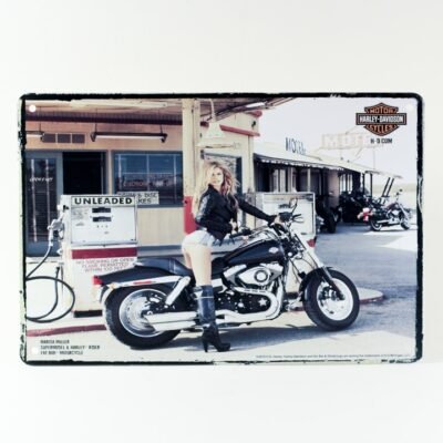 Wall Frame "Lady on Harley"