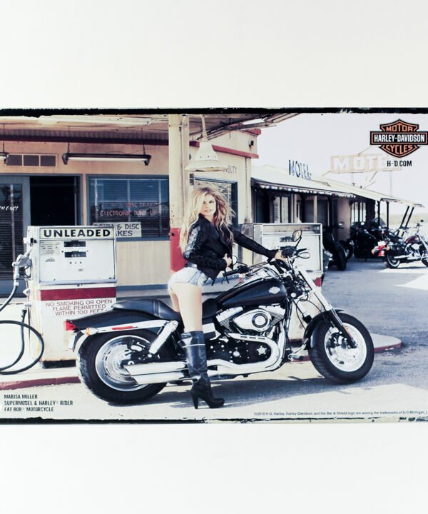 تابلوه حائط "ليدي أون هارلي"