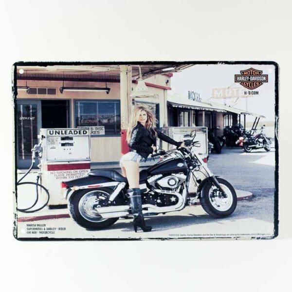 Wall Frame "Lady on Harley"