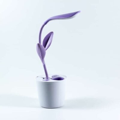 Desk Lamp "Lucky Potted", 2 Colors