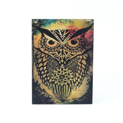 Wall frame, Colorful Owl