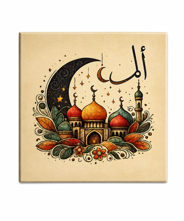 Coaster, Amal